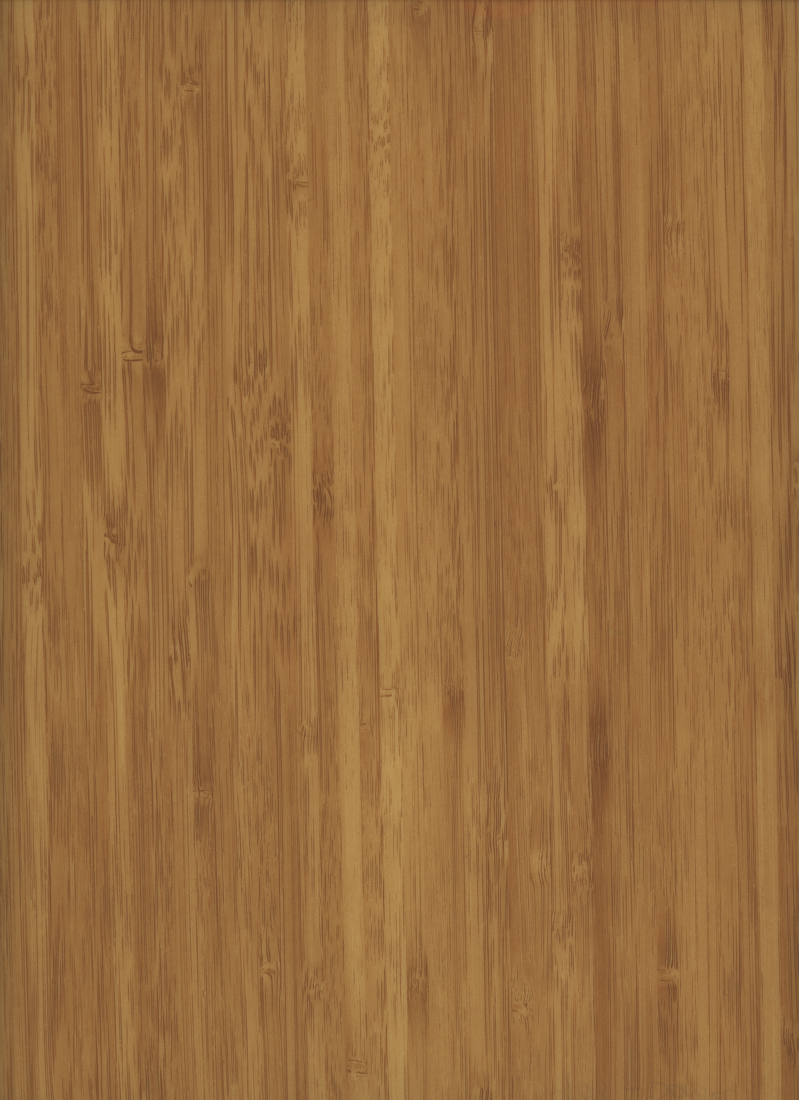 Edgeband | Y08 Bamboo