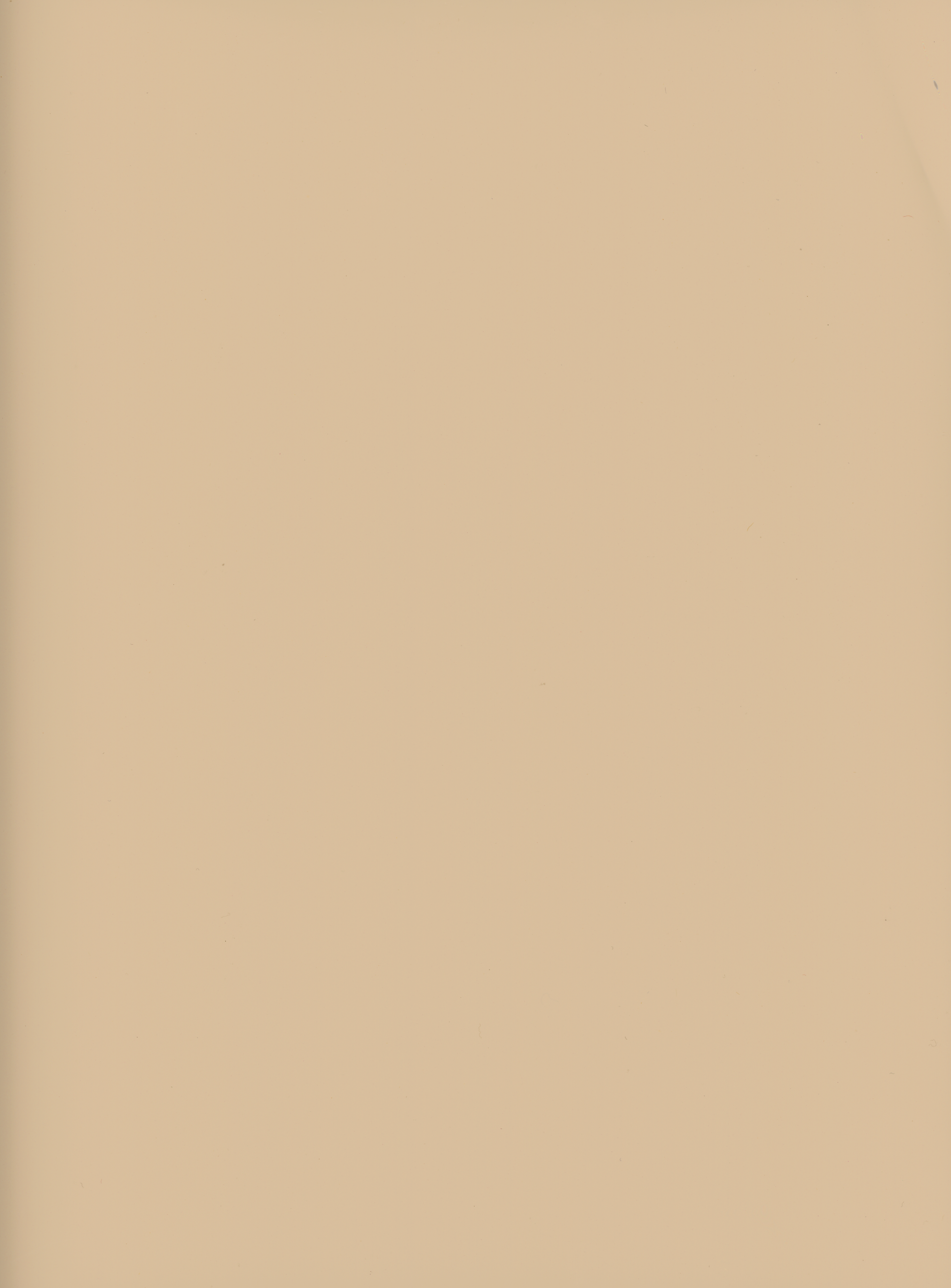 Edgeband | Y65 Evora